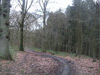 sortie balade dans les bois de Seraing photo de la sortie balade dans les bois de Seraing