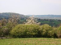 photo de la sortie 1ère ballade 2014 - Niaster et bois de Winhiste