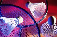 photo de la sortie Badminton