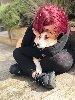 profil de Frechie