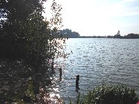 photo de la sortie Baralle 8 kms 