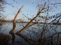 photo de la sortie Brunemont 16 kms 