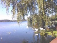 photo de la sortie ARLEUX 9 KMS 