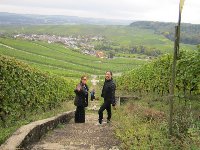 sortie Marche vendredi Moselle photo de la sortie Marche vendredi Moselle