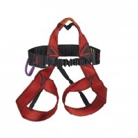 photo de la sortie Via ferrata Planfoy