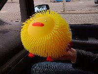 photo de la sortie GALIBIER la sortie sans les filles !