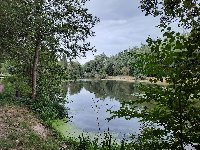 photo de la sortie Marche Bornival Vari&eacute;e