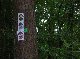 photos NAMUR Marche ADEPS à Oignies-en-Thiérache NAMUR Marche ADEPS à Oignies-en-Thiérache