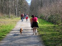 photo de la sortie Marche ADEPS à Presles(Aiseau-Presles)