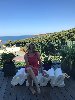 profil de lele44
