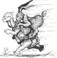 photo de la sortie Footing des tortues et des li&egrave;vres