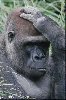 profil de steph6644