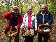 PARIS Les phytolaqueurs aux champignons