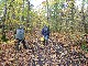 PARIS Les phytolaqueurs aux champignons