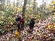 PARIS Les phytolaqueurs aux champignons