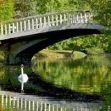 photo de la sortie D&eacute;tente aux ibis