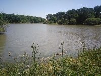 photo de la sortie Hike / Randonn&eacute;e Nature Rambouillet : La Rivi&egrave;re du Roi Soleil 15/16 km