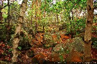 photo de la sortie Rando : Gorges de Franchard 25km 