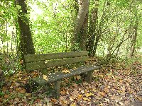 sortie La marche du samedi matin à la Ferté Alais 91 photo de la sortie La marche du samedi matin à la Ferté Alais 91