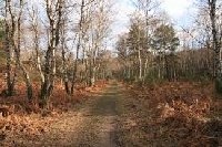 photo de la sortie Rando : lagny - bussy 21km