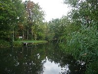 sortie La marche du lundi à OLLAINVILLE 91 photo de la sortie La marche du lundi à OLLAINVILLE 91