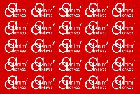 photo de la sortie L'apiculture en Roussillon: conf-excursion