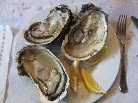 photo de la sortie balade moto et restau &agrave; Fitou