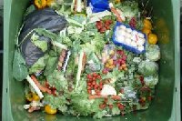 sortie LUTTER CONTRE LE GASPILLAGE ALIMENTAIRE photo de la sortie LUTTER CONTRE LE GASPILLAGE ALIMENTAIRE