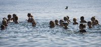 photo de la sortie marche dans l'eau
