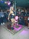 POITIERS Chippendales et Show Sexy F&eacute;minin