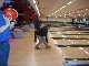 POITIERS Bowling &agrave; Buxerolles