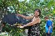 POITIERS Barbecue et Tarot