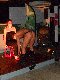 photos POITIERS CHIPPENDALES au Before POITIERS CHIPPENDALES au Before