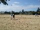photos POITIERS Les Amis du Buck POITIERS Les Amis du Buck