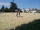 photos POITIERS Les Amis du Buck POITIERS Les Amis du Buck