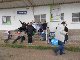 photos POITIERS Joyce Jonathan aux Heures Vagabondes POITIERS Joyce Jonathan aux Heures Vagabondes