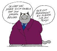 photo de la sortie Courir en Foret ( Endurance )