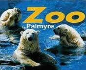 photo de la sortie Zoo de La PALMYRE