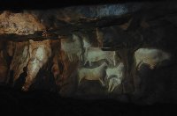 sortie Grotte du Roc- aux -sorciers photo de la sortie Grotte du Roc- aux -sorciers