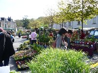 photo de la sortie March&eacute; aux fleurs