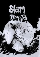 photo de la sortie Sc&egrave;ne Slam de mai au Plan B