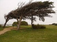 photo de la sortie R&eacute;sister &agrave; l'hiver