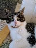 profil de natz35