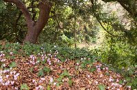 sortie Vers le bocage sud photo de la sortie Vers le bocage sud