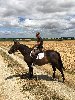 profil de leo17