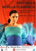 photo de la sortie Spectacle FLAMENCO avecCarmen GAMERO et musiciens de Seville
