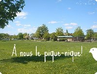 photo de la sortie Souviens toi l'été dernier