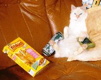 photo de la sortie Sortie moto interdite aux ....