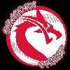 profil de dragonsbaseball