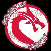 profil de dragonsbaseball